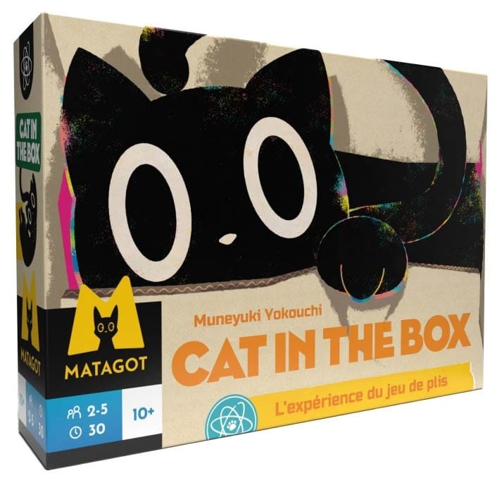 Cat in the Box Cat in the Box