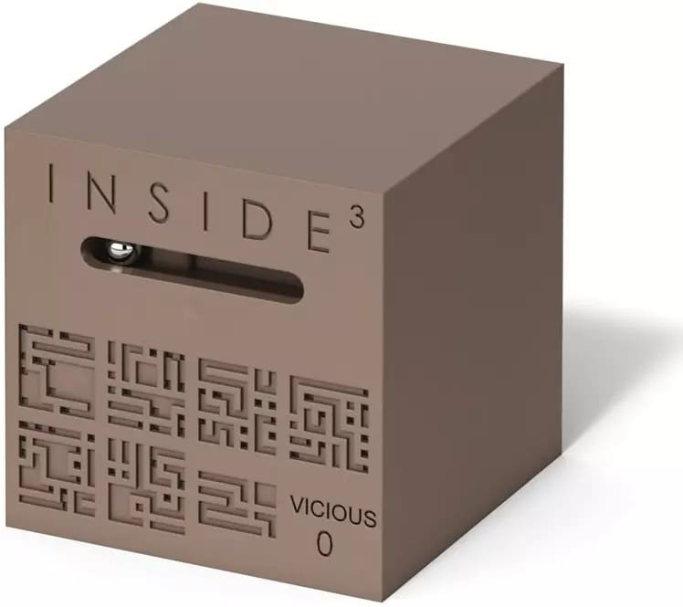 Inside Vicious Inside Vicious
