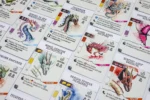 Cartes de jeu illustrées avec des dragons fantastiques