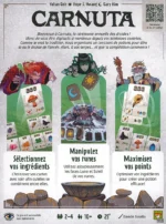 Affiche du jeu Carnuta avec règles et gameplay druide
