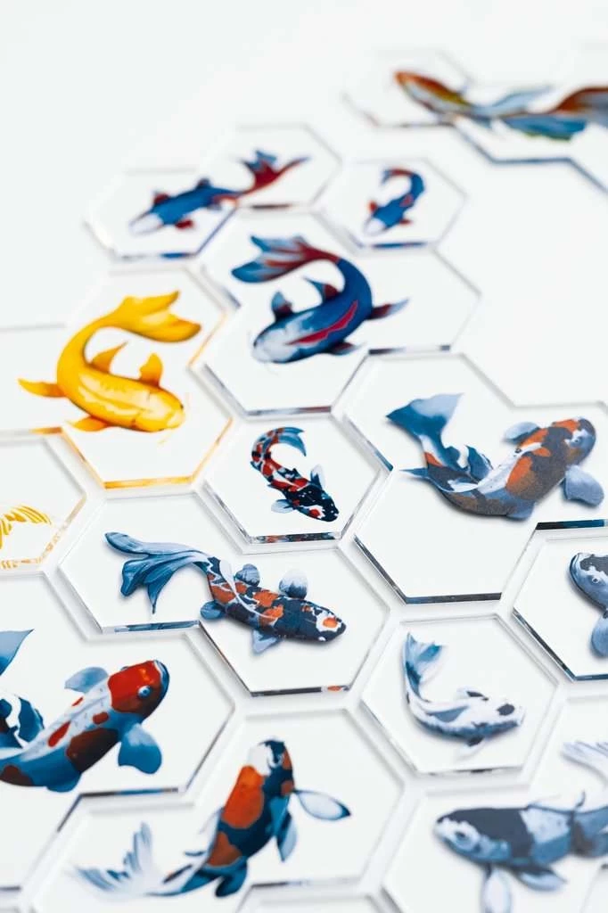 Cartes hexagonales avec illustrations de poissons colorés variés