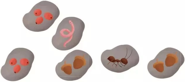Illustration de diverses bactéries et micro-organismes colorés