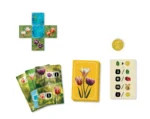 Jeu de société avec tulipes, cartes et pièces dorées