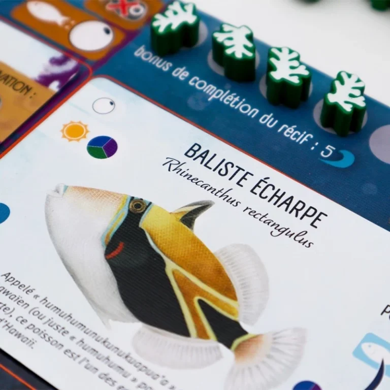 Carte jeu Baliste écharpé avec pions verts