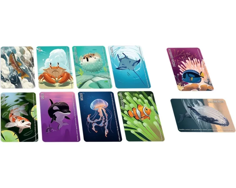Cartes éducatives illustrées d'animaux marins et aquatiques colorés