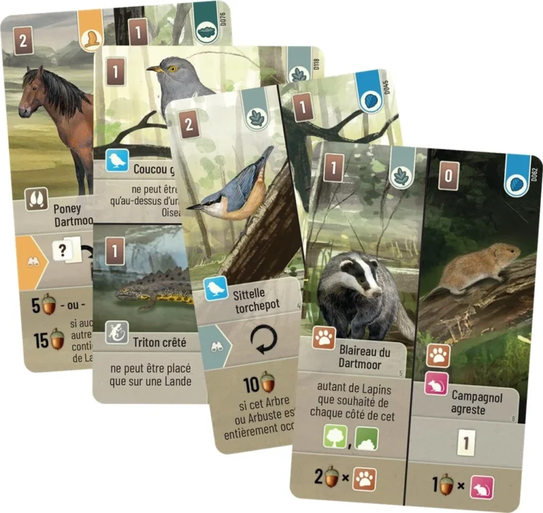 Cartes de jeu naturelles avec animaux sauvages et écosystème