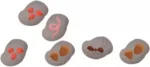 Illustration de diverses bactéries et micro-organismes colorés