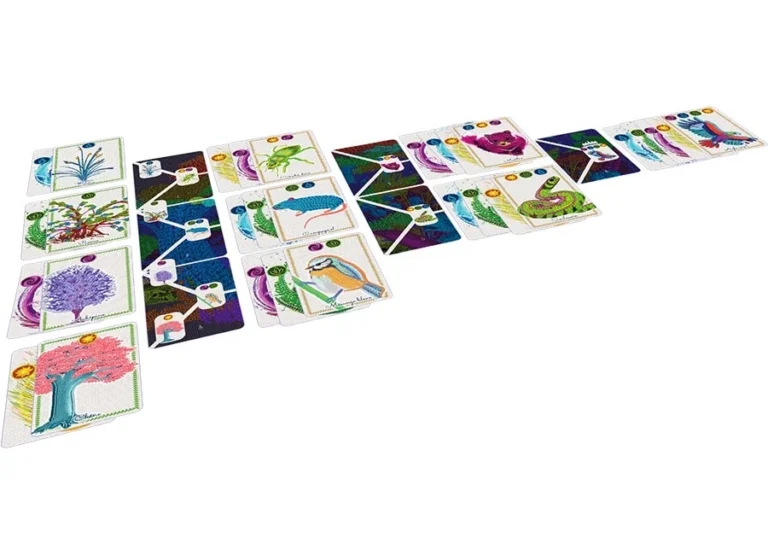 Cartes de jeu colorées avec illustrations de plantes et animaux